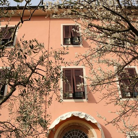Angelini Dal 1911 Hotel Lucca Kültér fotó